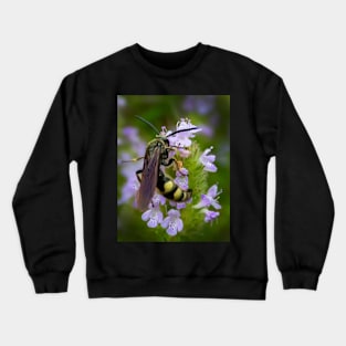 Feeding bee Crewneck Sweatshirt